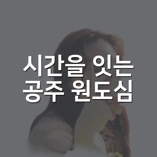 시간을 잇는 공주 원도심