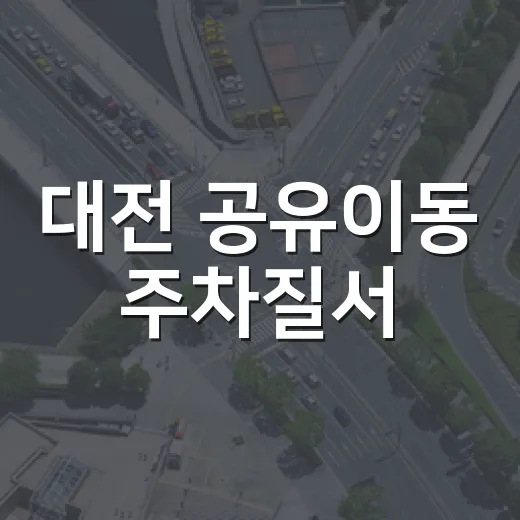 대전 공유이동 주차질서