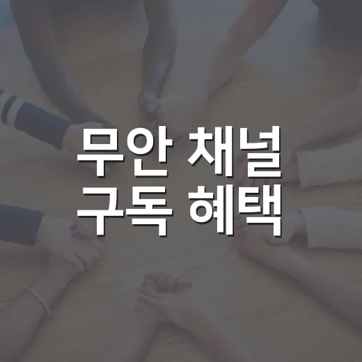 무안 채널 구독 혜택