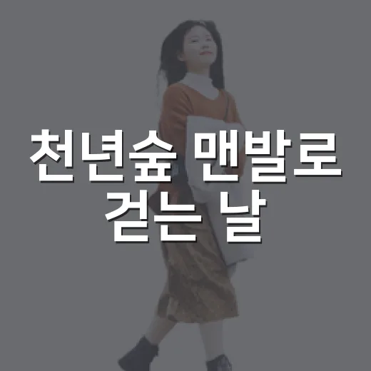천년숲 맨발로 걷는 날