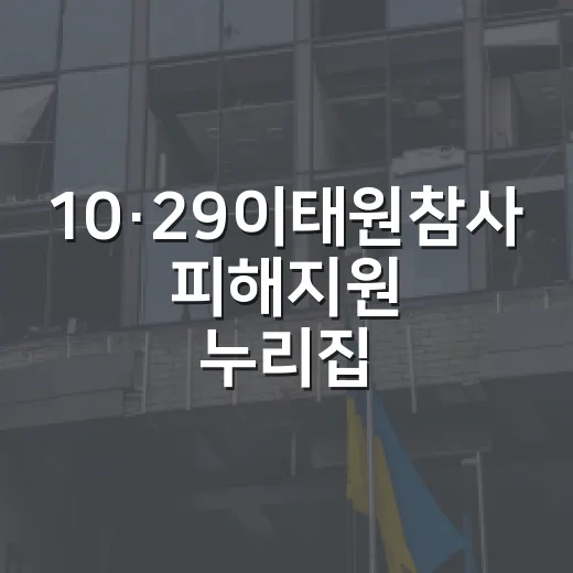 10·29이태원참사 피해지원 누리집 언제 개통되나