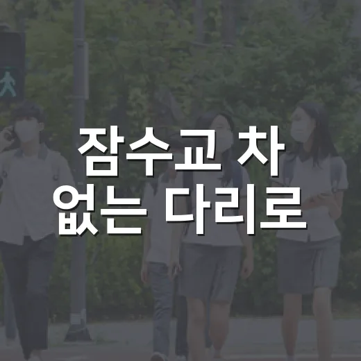 잠수교 차 없는 다리로