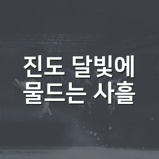 진도 달빛에 물드는 사흘