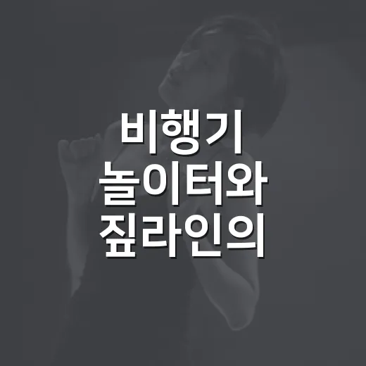 비행기 놀이터와 짚라인의 즐거움