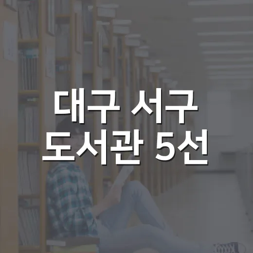 대구 서구 도서관 5선