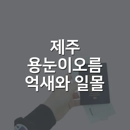 제주 용눈이오름 억새와 일몰 완벽 가이드