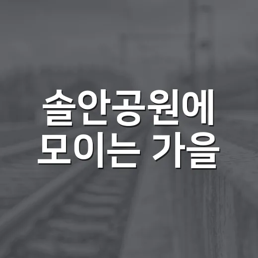 솔안공원에 모이는 가을