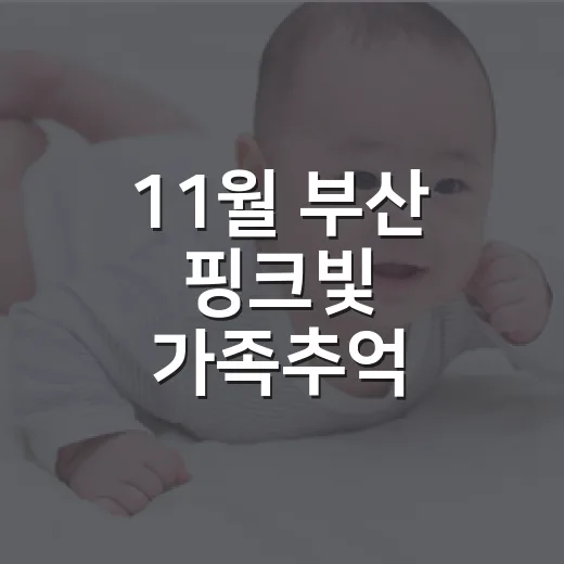 11월 부산 핑크빛 가족추억