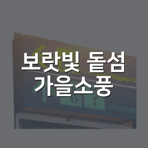 보랏빛 돝섬 가을소풍