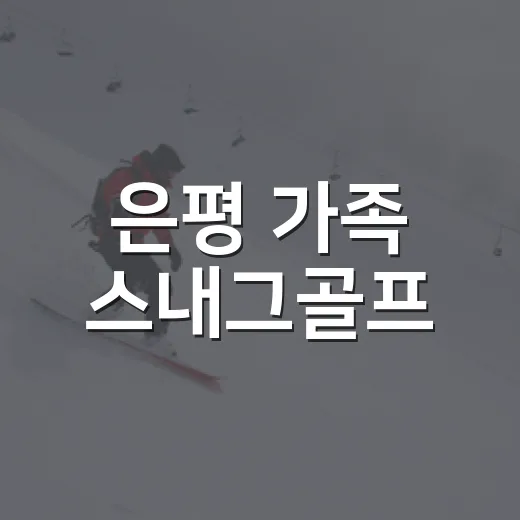 은평 가족 스내그골프