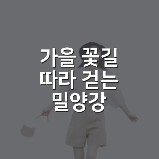 가을 꽃길 따라 걷는 밀양강 가우라꽃길 걷기대회