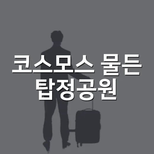 코스모스 물든 탑정공원