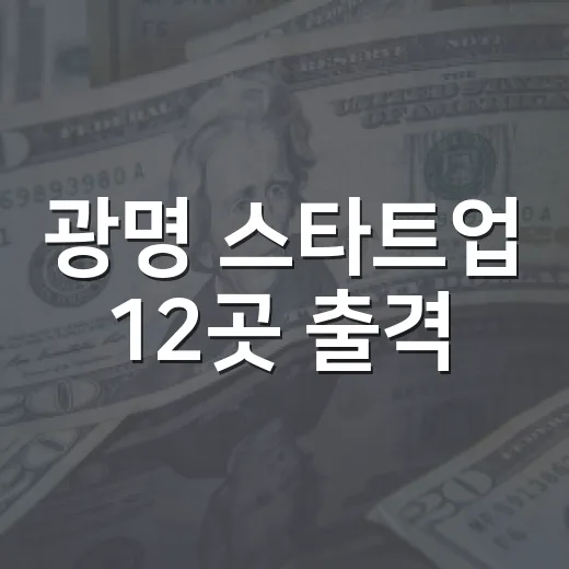 광명 스타트업 12곳 출격