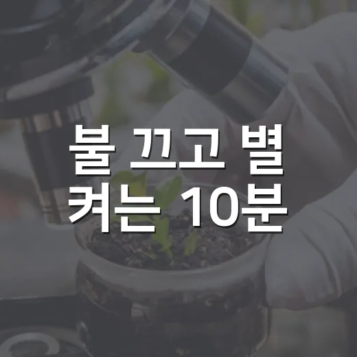 불 끄고 별 켜는 10분