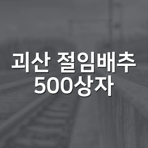 괴산 절임배추 500상자