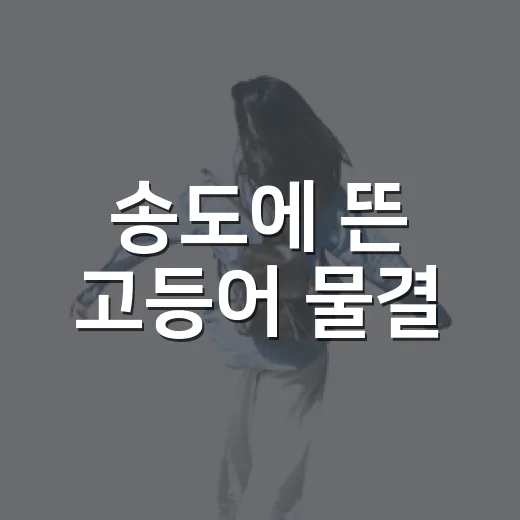송도에 뜬 고등어 물결