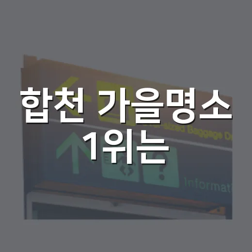합천 가을명소 1위는