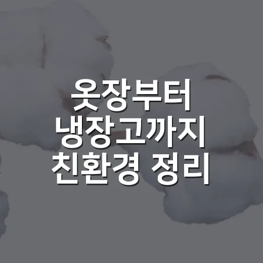 옷장부터 냉장고까지 친환경 정리