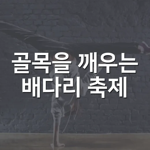 골목을 깨우는 배다리 축제