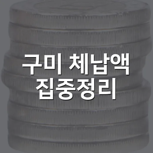 구미 체납액 집중정리