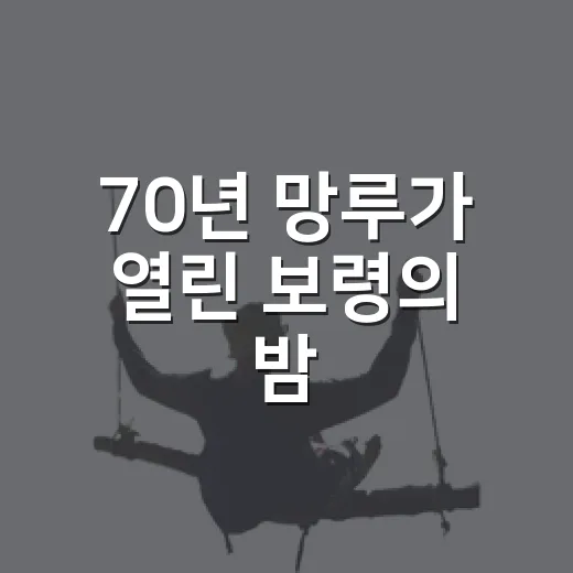 70년 망루가 열린 보령의 밤