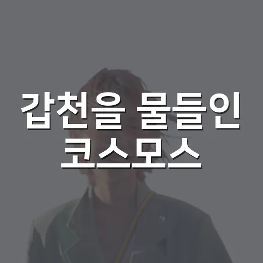 갑천을 물들인 코스모스