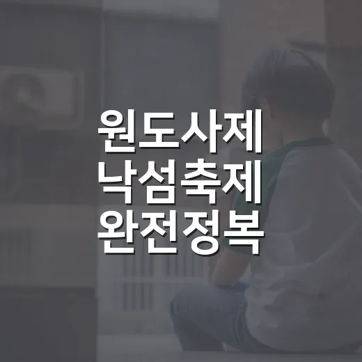 원도사제 낙섬축제 완전정복