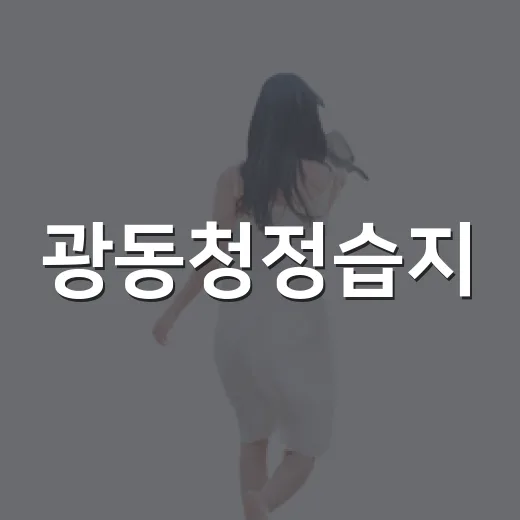 광동청정습지, 가을 산책 명소 재발견