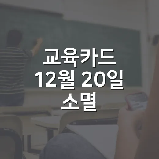 교육카드 12월 20일 소멸
