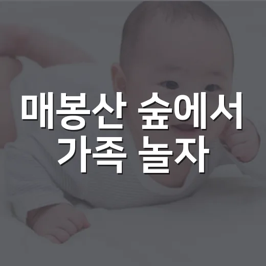 매봉산 숲에서 가족 놀자