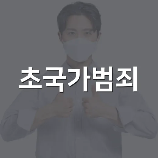 초국가범죄, 동남아 검거 2.5배 증가
