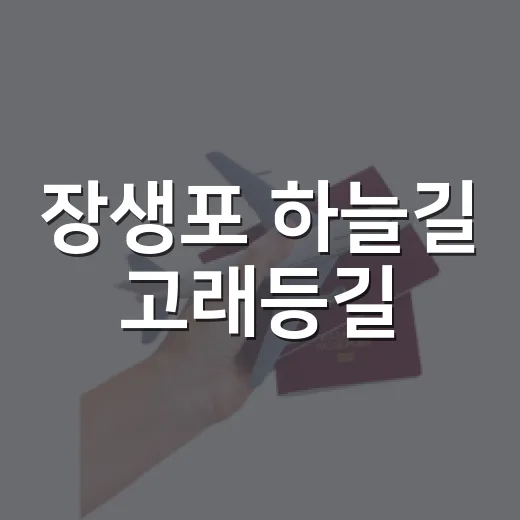 장생포 하늘길 고래등길