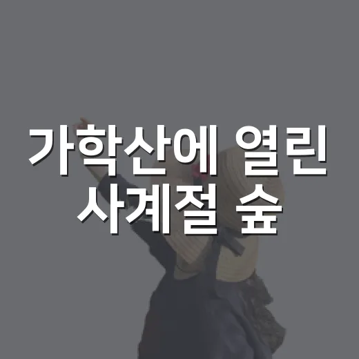 가학산에 열린 사계절 숲
