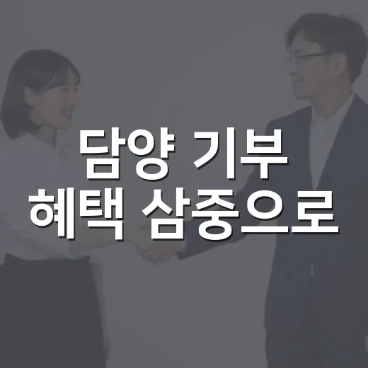 담양 기부 혜택 삼중으로