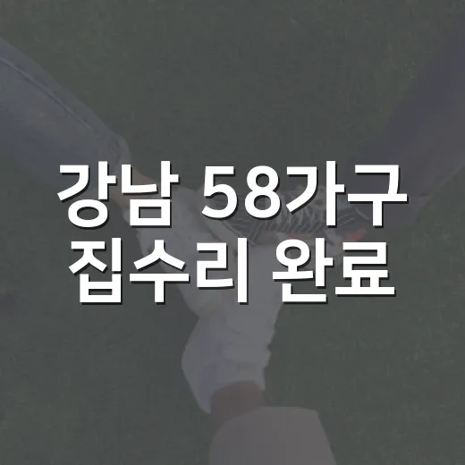 강남 58가구 집수리 완료