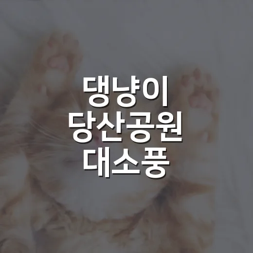 댕냥이 당산공원 대소풍