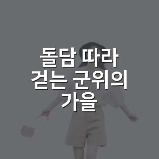 돌담 따라 걷는 군위의 가을