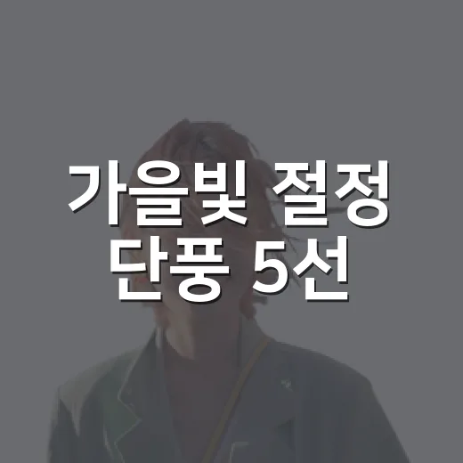 가을빛 절정 단풍 5선