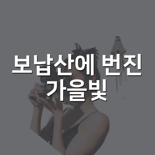 보납산에 번진 가을빛