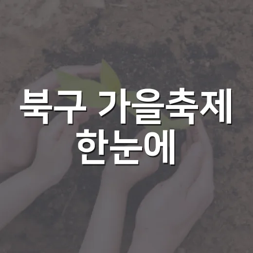 북구 가을축제 한눈에