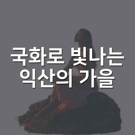 국화로 빛나는 익산의 가을