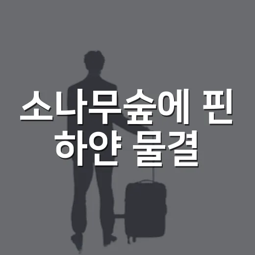 소나무숲에 핀 하얀 물결