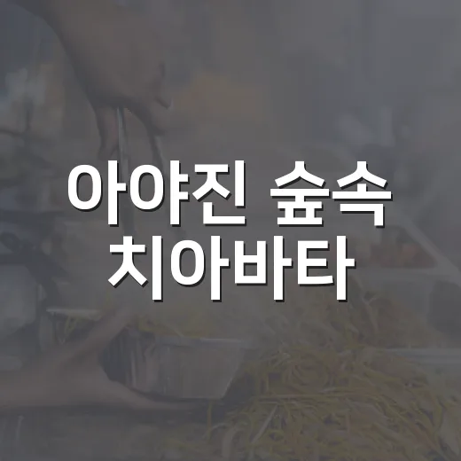 아야진 숲속 치아바타