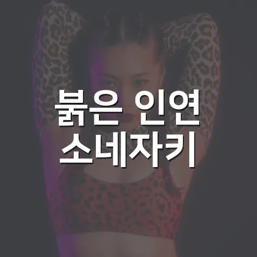 붉은 인연 소네자키