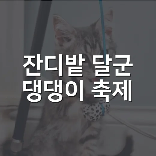 잔디밭 달군 댕댕이 축제