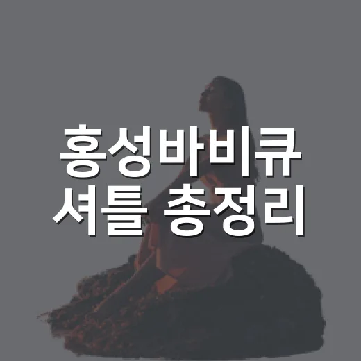홍성바비큐 셔틀 총정리