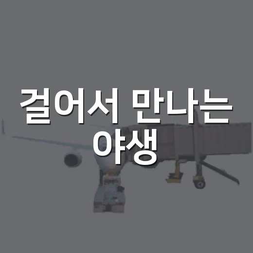 걸어서 만나는 야생