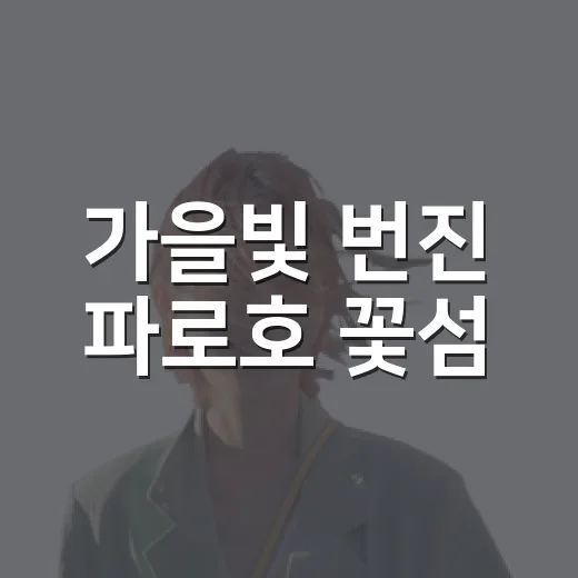 가을빛 번진 파로호 꽃섬