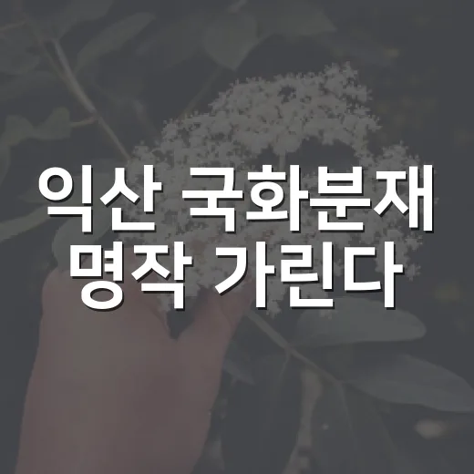 익산 국화분재 명작 가린다