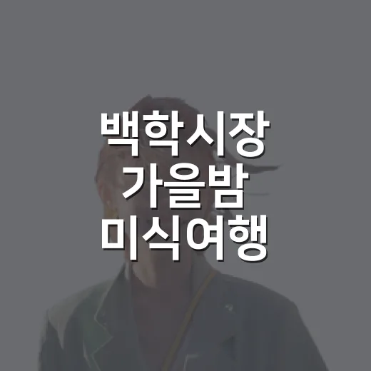백학시장 가을밤 미식여행